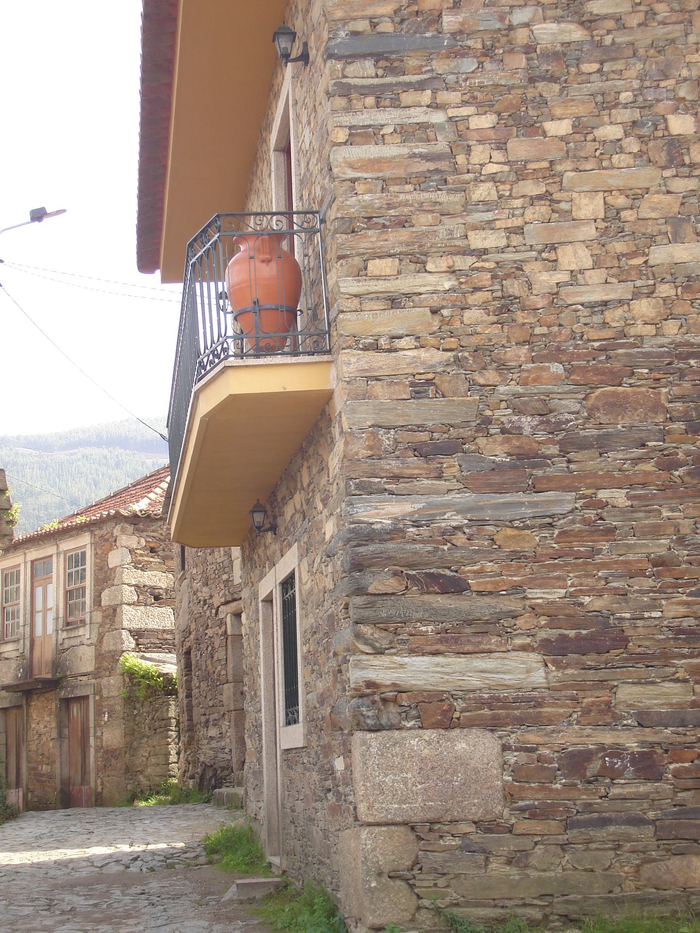 254.original_resultado