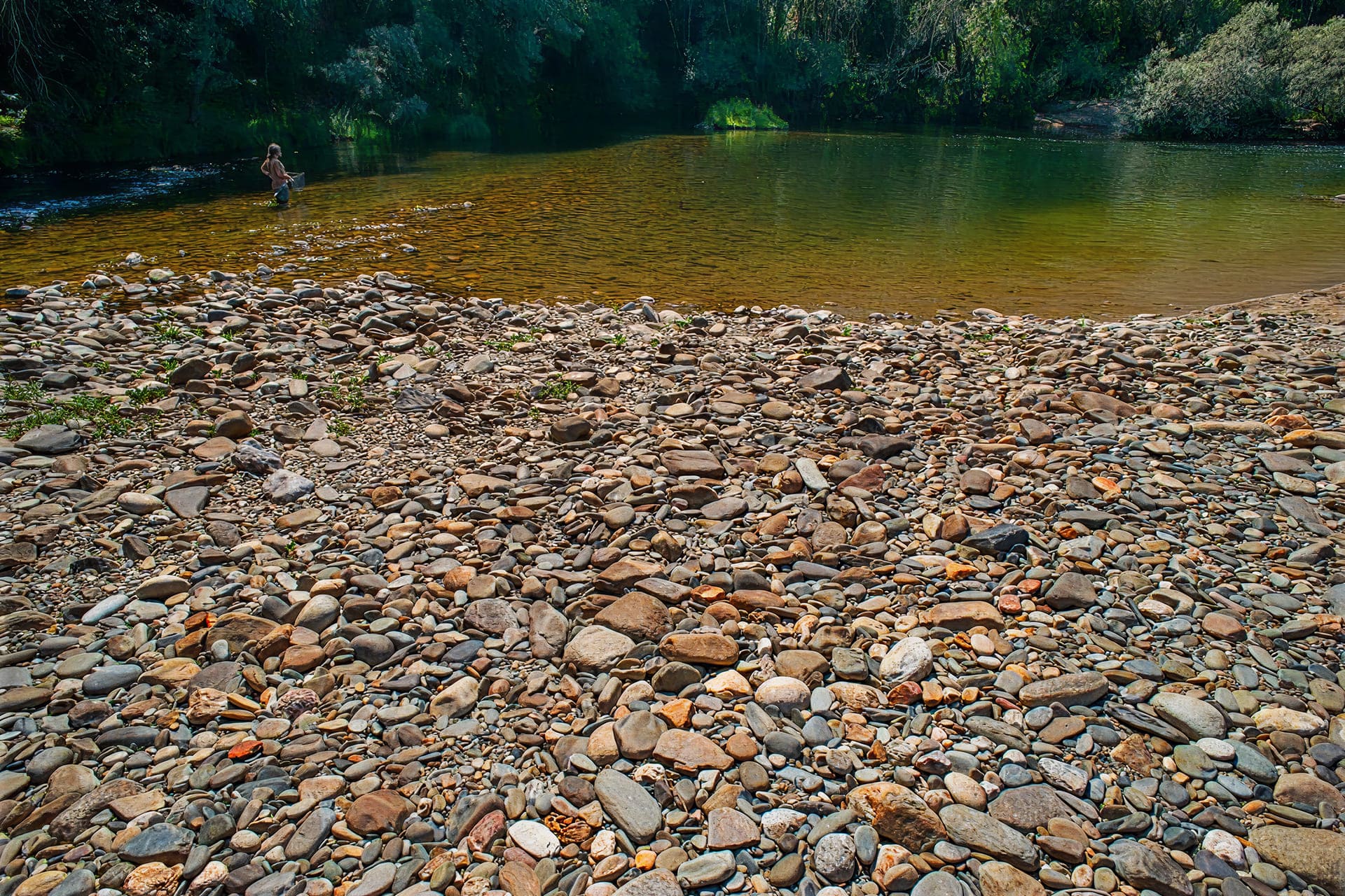 Ardenal da Retorta 2