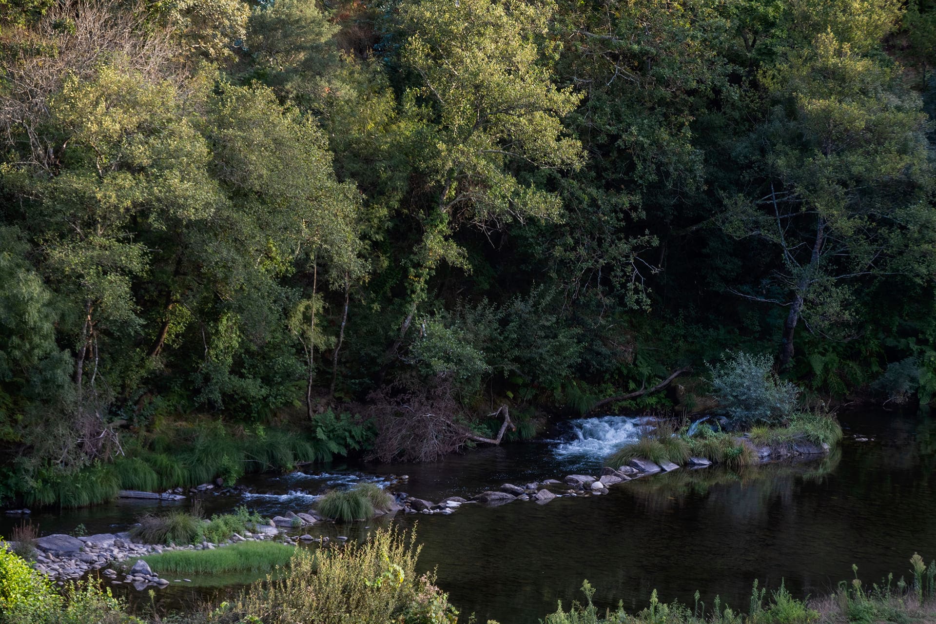 JNS_3785_rio_paiva_castelo_paiva