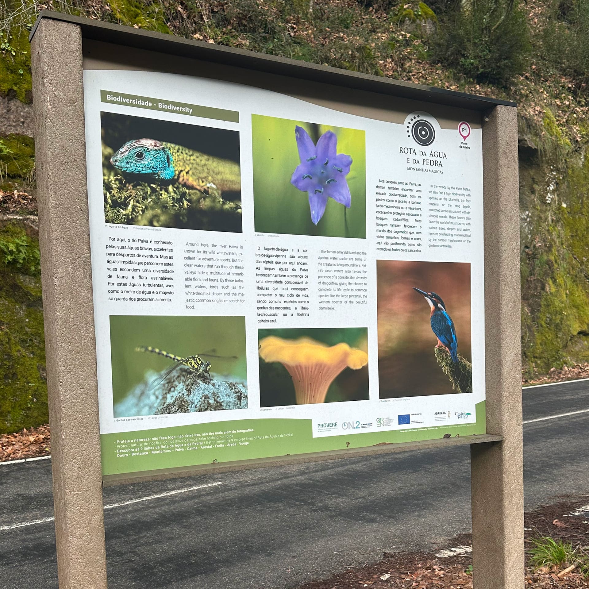 Rota da Água e da Pedra 4